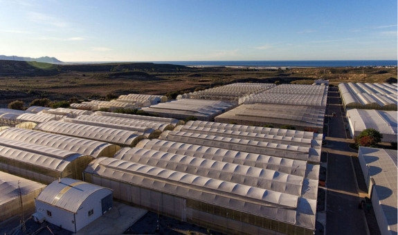 Salida de campo: Finca Experimental UAL-ANECOOP